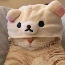 Hoàng Nghĩa avatar