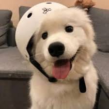 Hương Giang avatar